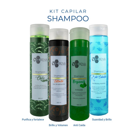 Kit Colección Shampoos 4 en 1 (4 piezas, 500 ml c/u)