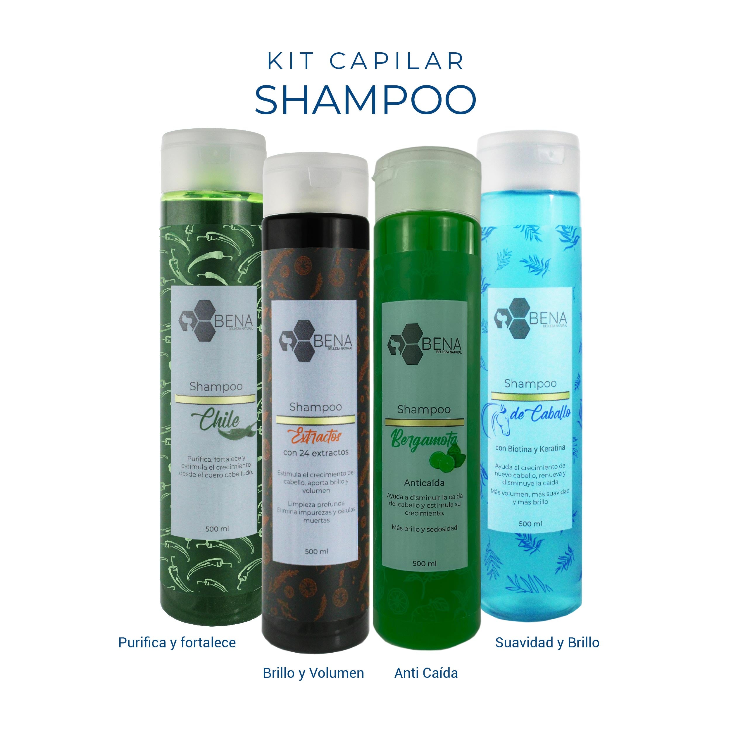 Kit Colección Shampoos 4 en 1 (4 piezas, 500 ml c/u)